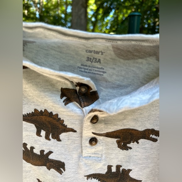 Carter’s Dinosaur Top Set 3T - Picture 4 of 9
